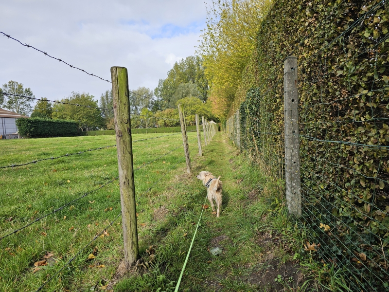 Het molenbeekpad in Wetteren, een wandelroute langs trage wegen en over de velden in Massemen