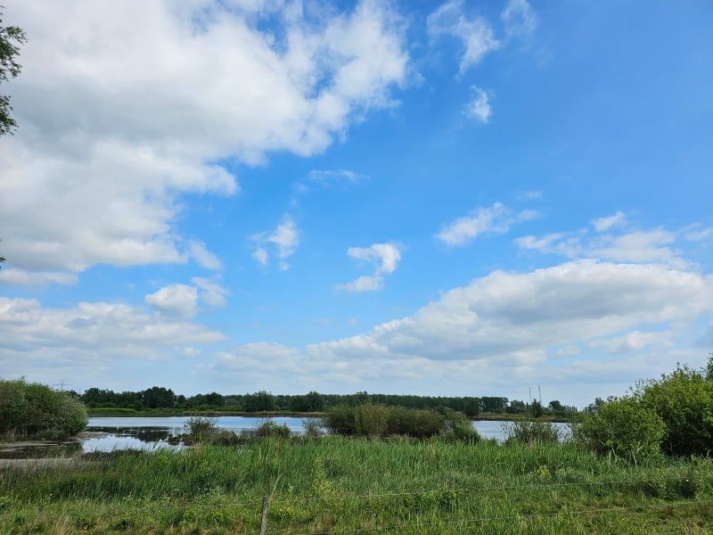 Het Noordelijk Eiland natuurgebied in Wintam