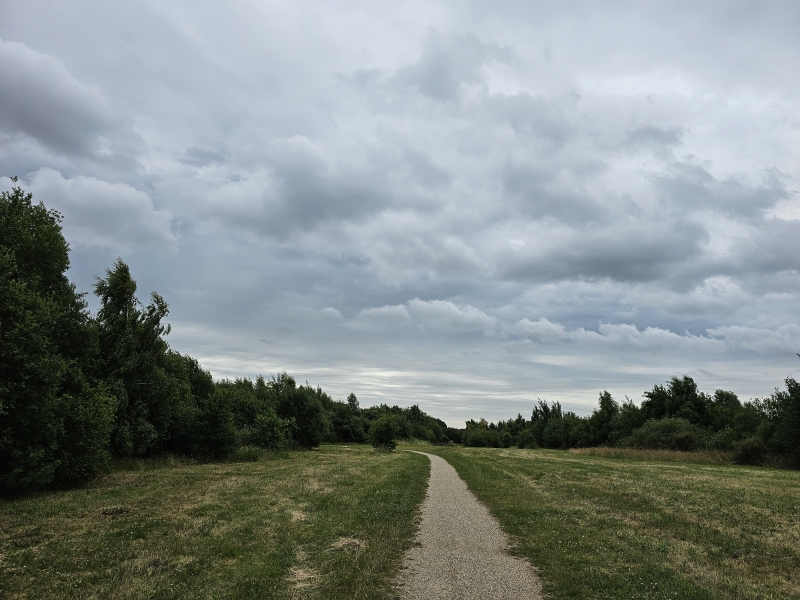 Het pad richting het hondenstrand in Emmen