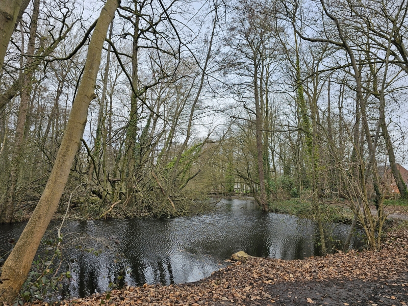 Het Reinaertpark in Destelbergen