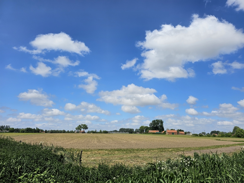 Het uitzicht in t Rhodesgoed