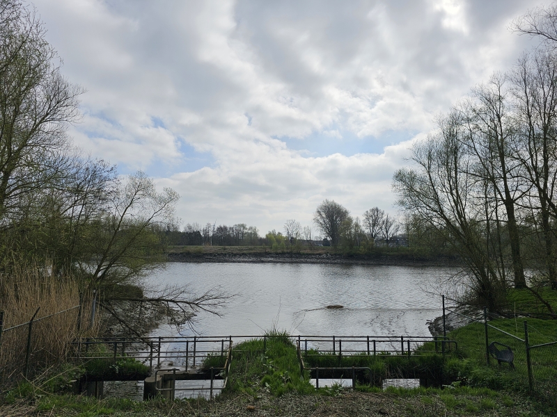 Het uitzicht op de Schelde in Grembergen