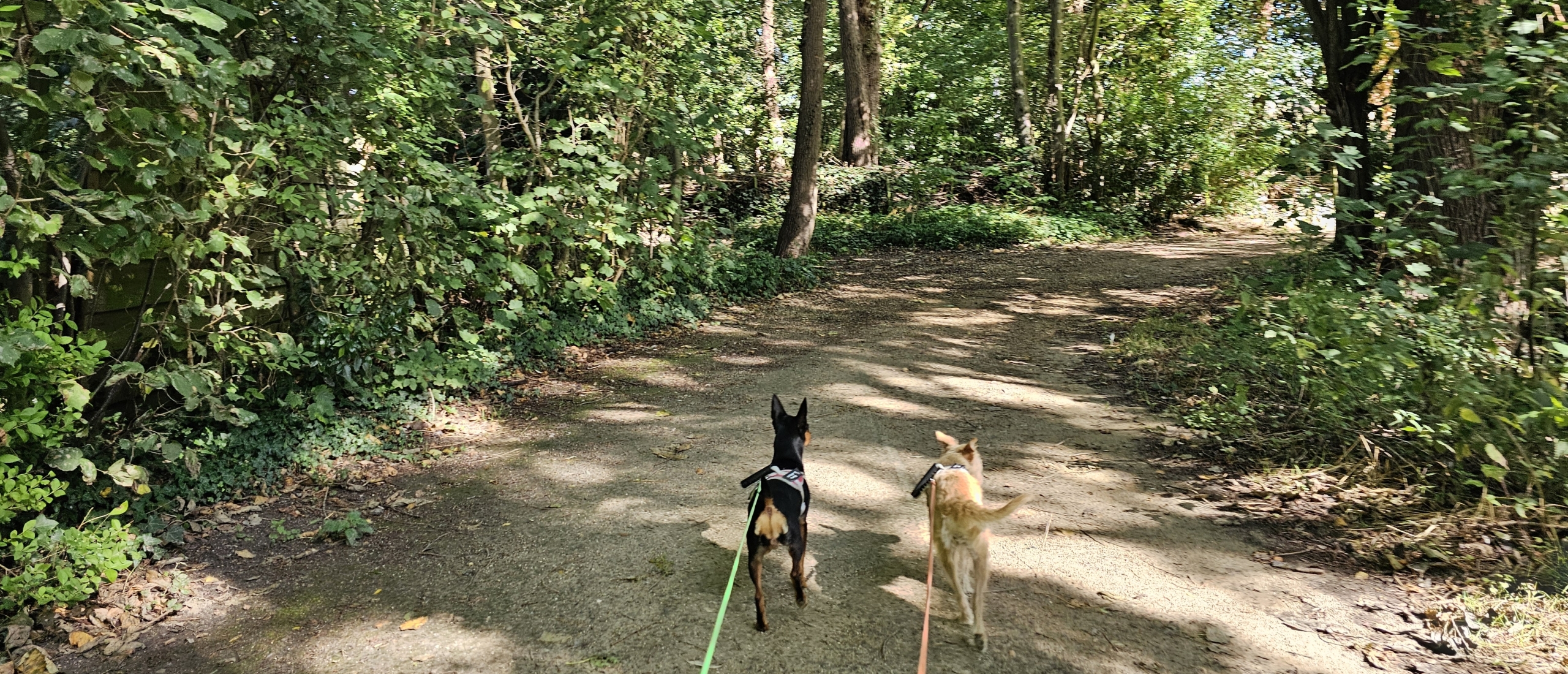 Het Veldkantpad in Boechout langs verschillende parken en natuurgebieden