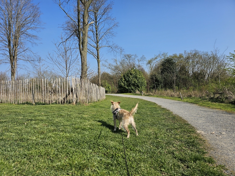 Het Vondelhof in Denderhoutem Het Vondelhof in Denderhoutem