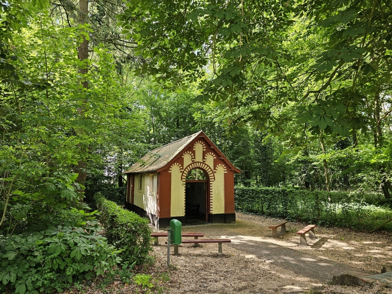 Het Wijnendalebos in West-Vlaanderen