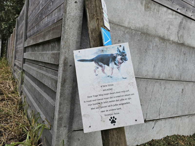 Hond Tessa op het molenbeekpad in Wetteren