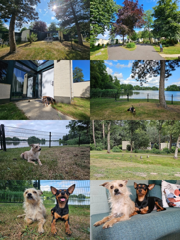 Honden cottage nummer 514 in De Huttenheugte in Drenthe, Centerparcs