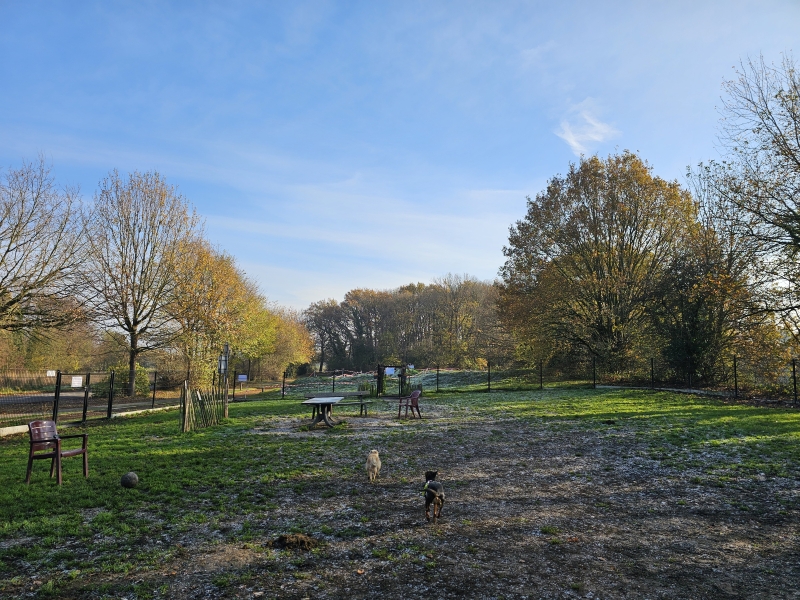 Hondenweide bij Fort 2 in Wommelgem Hondenweide bij Fort 2 in Wommelgem