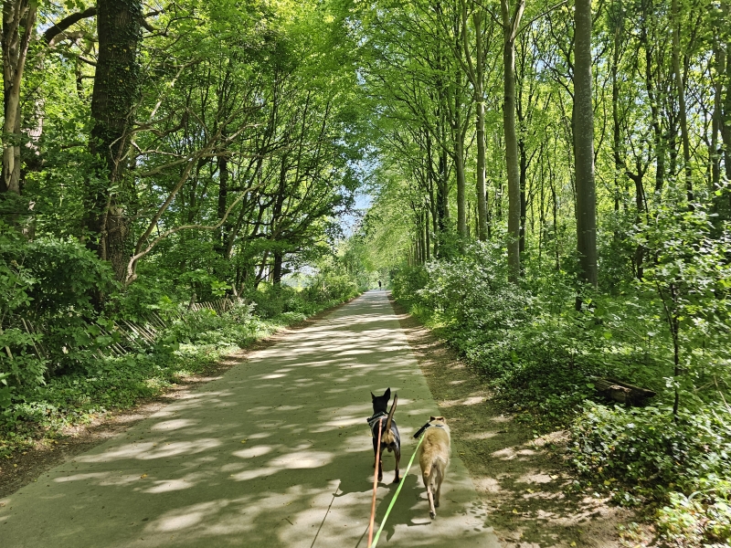 Hop naar Oppem wandeling