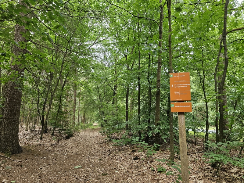 Ingang losloopgebied in het bos in Schoonloo, Drenthe