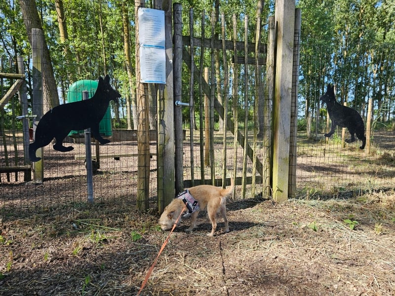 Ingang van de losloopweide Het Hondenbos in Hamme