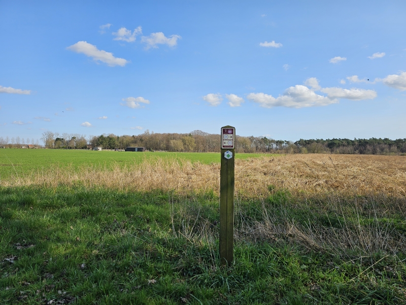 Keigatbos groene wandelroute via wandelknooppunten Keigatbos groene wandelroute via wandelknooppunten