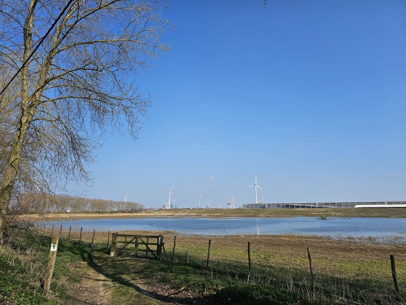 Kieldrecht Drijdijck wandelen wandelen