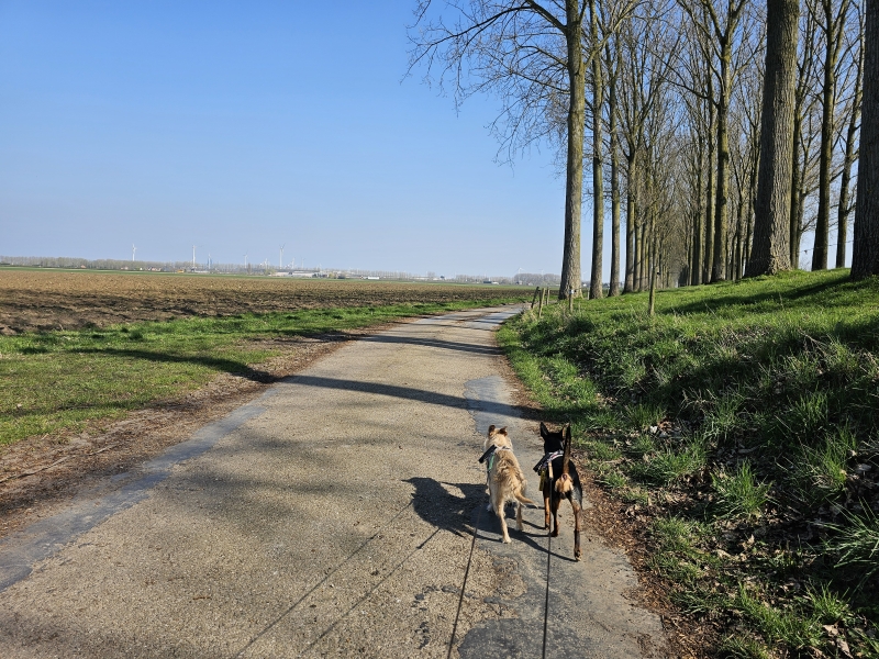 Kieldrechtse Kreek wandeling
