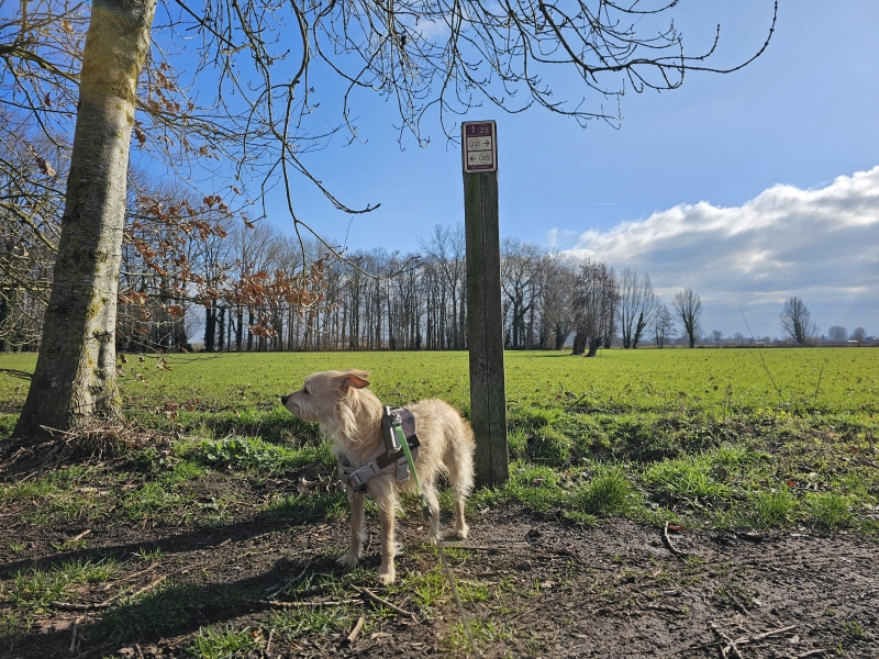 Knooppunten wandeling Lembeke en Oosteeklo