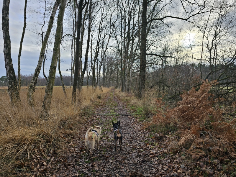 Koersels Kapelleke 't fonteintje in Beringen Koersels Kapelleke 't fonteintje in Beringen