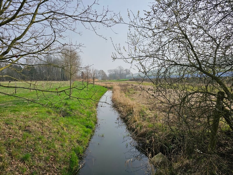 Korte wandelroute Koningshooikt