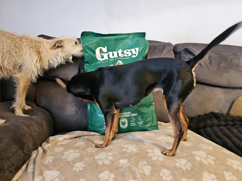 Kortingscode glutenvrije voeding voor honden van Gutsy