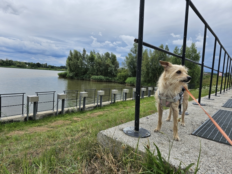 Langs de Schelde in Rupelmonde