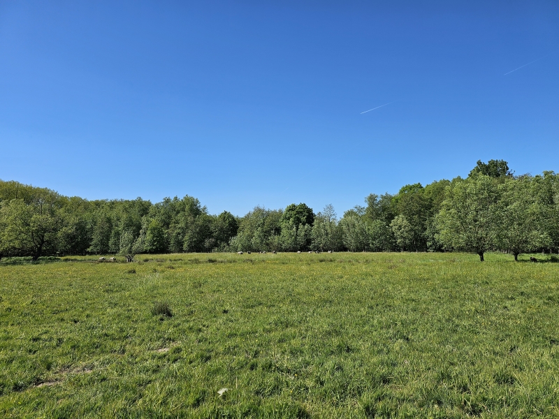 Latem wandelroute door de natuur Latem wandelroute door de natuur