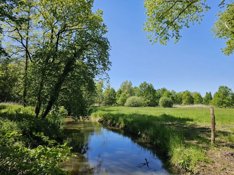 Latemse Meersen in Sint-Martens-Latem Latemse Meersen in Sint-Martens-Latem