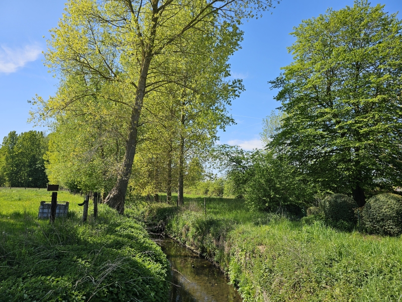 Lede Geelstervallei wandelroute