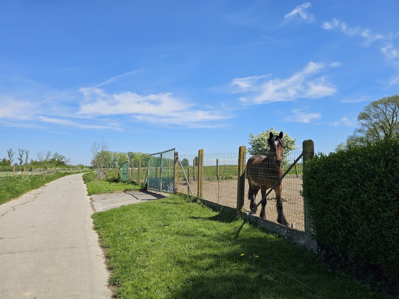 Lede wandelroutes