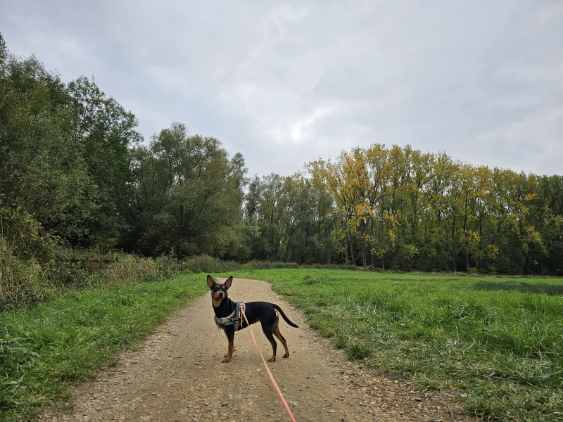 Liezele wandeling rond het Fort Liezele wandeling rond het Fort