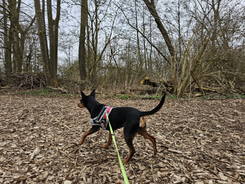 londerzeel wandelen
