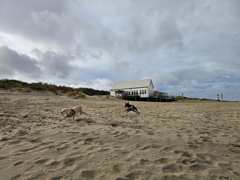 Loslopen strand Breskens, Zeeland