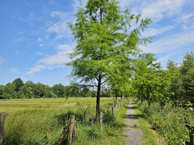 Lozerheide wandelroutes