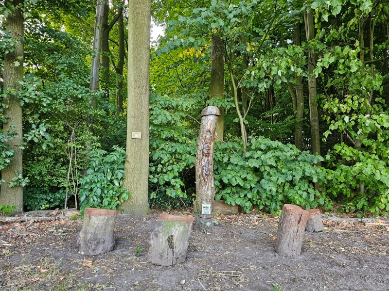 Magische wandeling door het toverbos Burcht