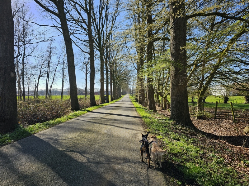Maldegem wandelroute Burkel Maldegem wandelroute Burkel