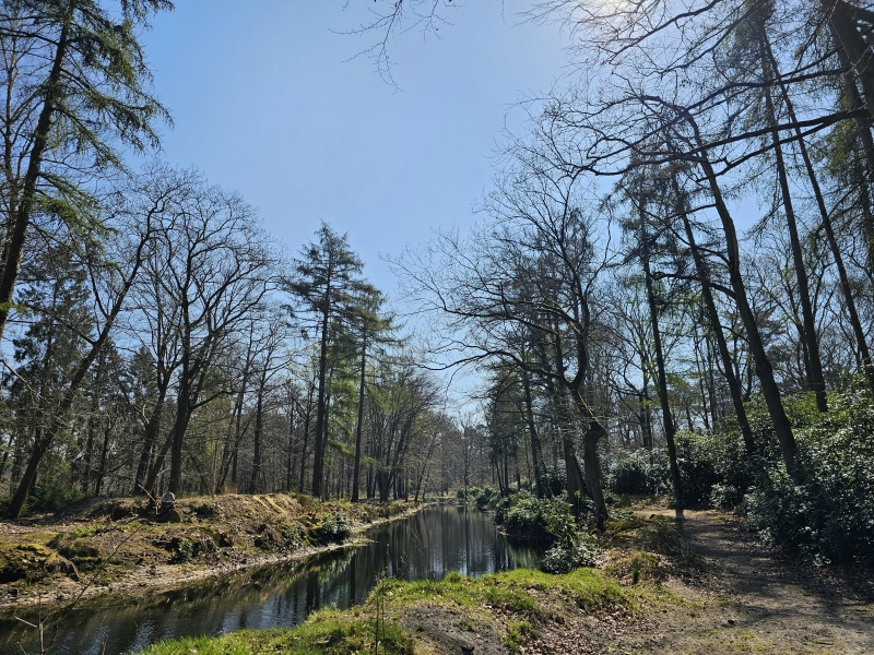 Mastenbos in Kapellen
