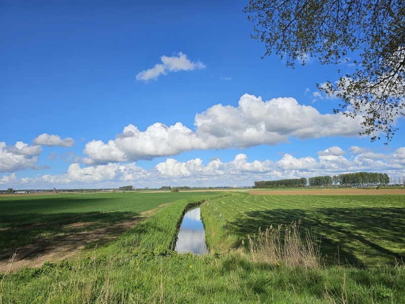 Meerdonk wandelroute langs de kreken van Saleghem