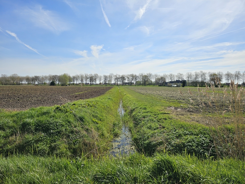 Meetjeslandse Kreken in Sint-Laureins
