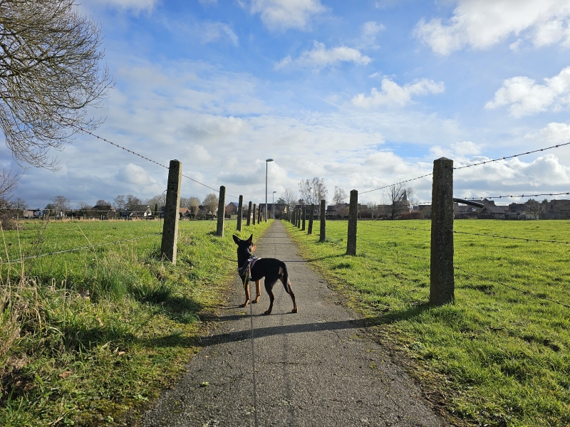 Meise Birrebeekvallei wandelroute