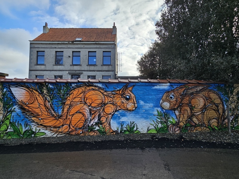 Meise wandelen met hond