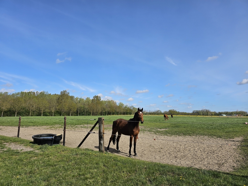 Merelbeke-Melle wandelroute langs trage wegen door de natuur Merelbeke-Melle wandelroute langs trage wegen door de natuur