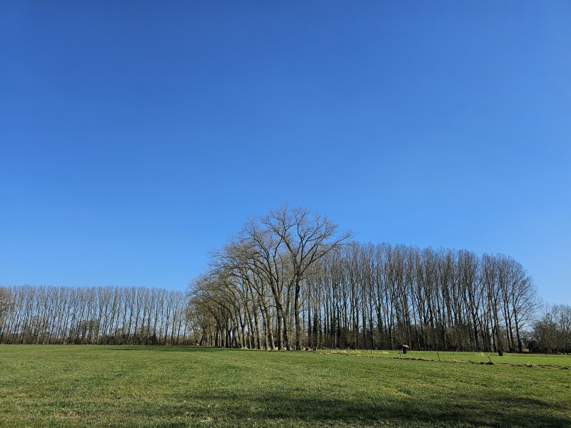 Merendree wandelen met hond in de Oude Kale Vallei