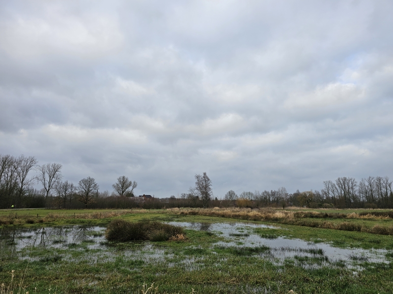 Mie Broos wandelroute Vorselaar met hond Mie Broos wandelroute Vorselaar met hond