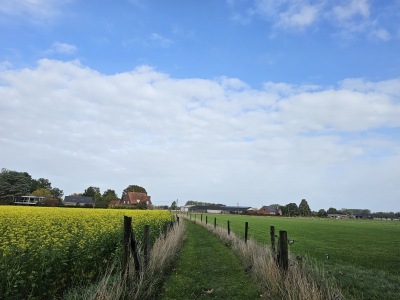 Mooiste wandeling in Wetteren