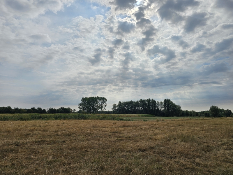 Natuur in Eksaarde, Lokeren