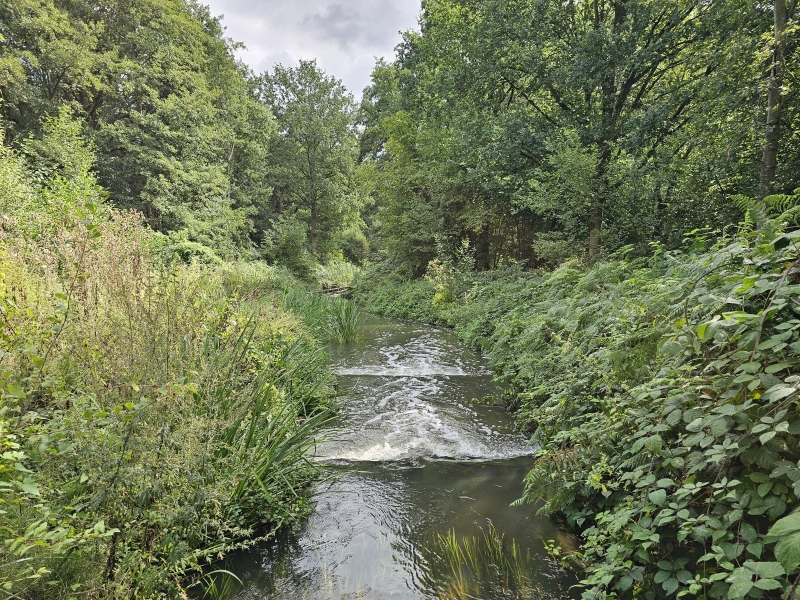 Natuur in Poederlee wandelroute