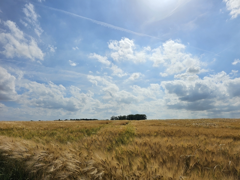 Natuur in Zemst wandelroute