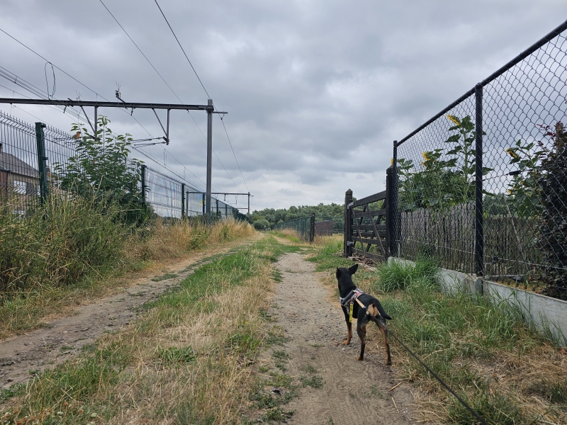 Natuurgebieden wandelroute in Lebbeke