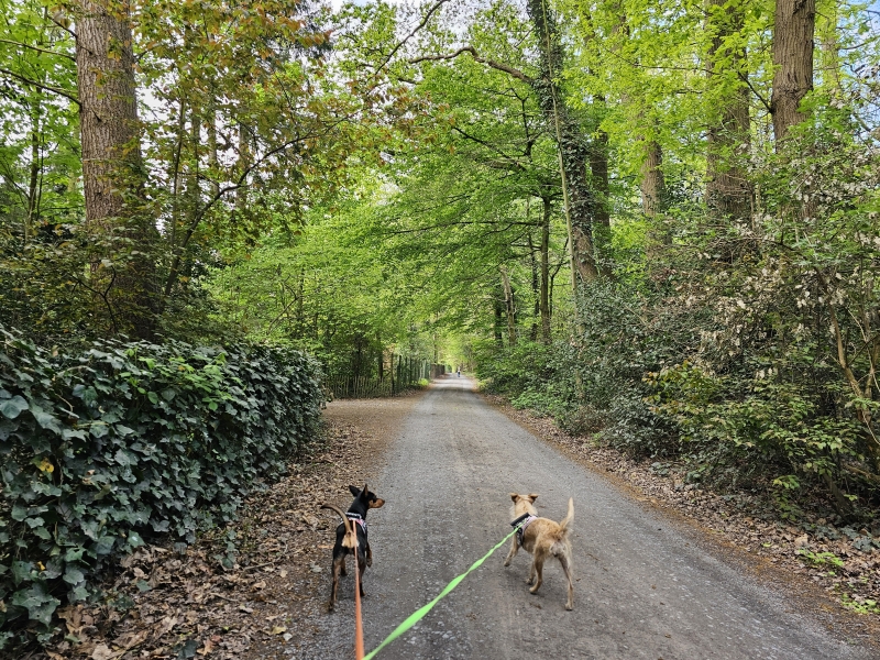 natuurwandeling in Deurle