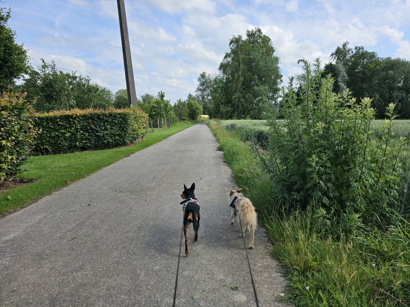 Natuurwandeling in Zemst