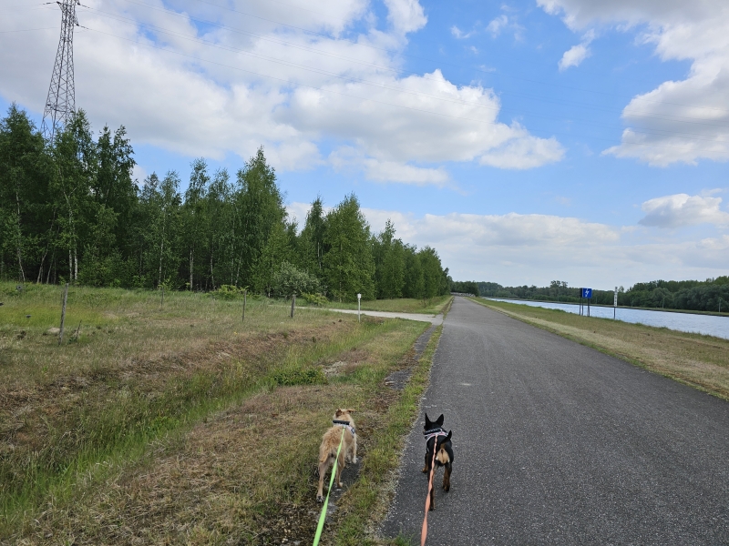 natuurwandeling met hond in Wintam