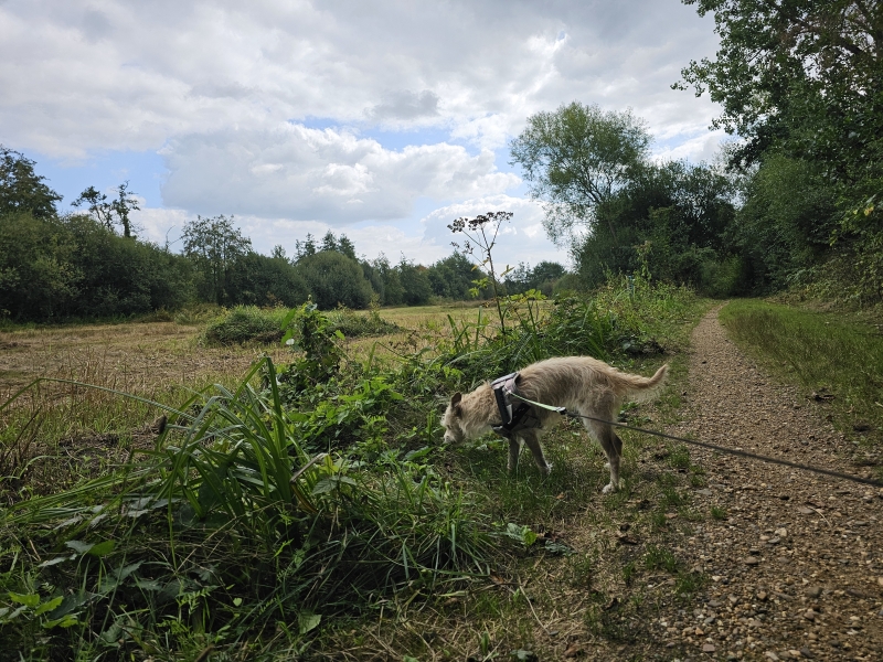 Neerhelst - De Botten wandelroute Geel Neerhelst - De Botten wandelroute Geel